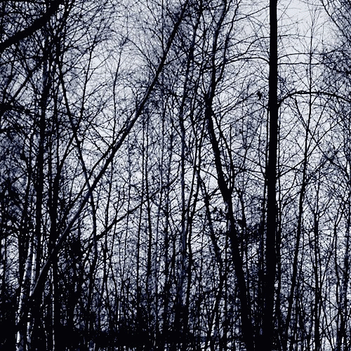 Atum : Syndrom Cotarda Atum : Syndrom Cotarda